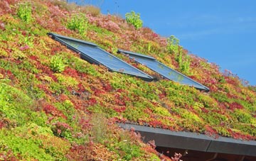 Rossland living roof systems